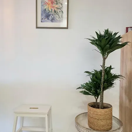Bello Apartamento Con Piscina Y Parking Gratuito A Un Paso Del Centro *